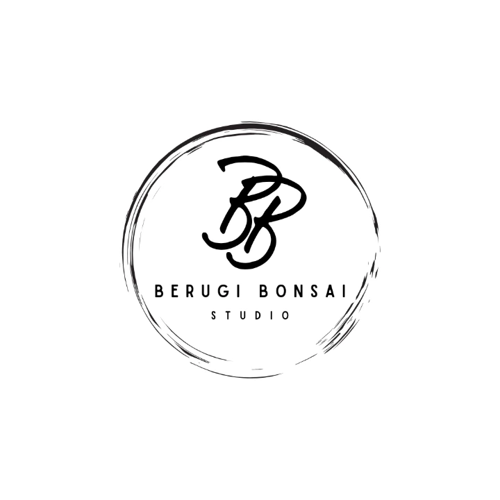 Berugibonsai